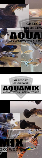 Hodowla - Aquamix Libuszewki
